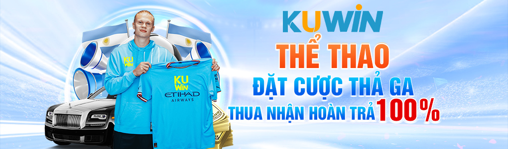 Biểu ngữ quảng cáo 166bet 2